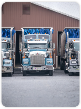 Paragon Poultry Services